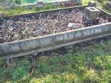 image of grave number 801424